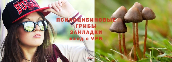 винт Рославль
