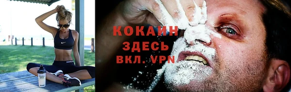 крисы Козельск