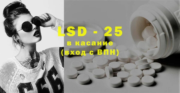 крисы Козельск