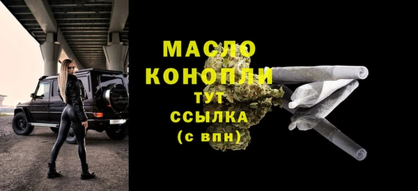 крисы Козельск
