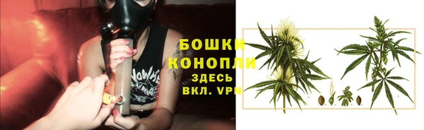 ECSTASY Кодинск