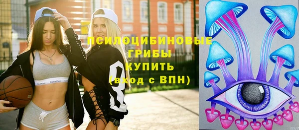 СК Козловка