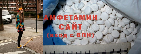 крисы Козельск