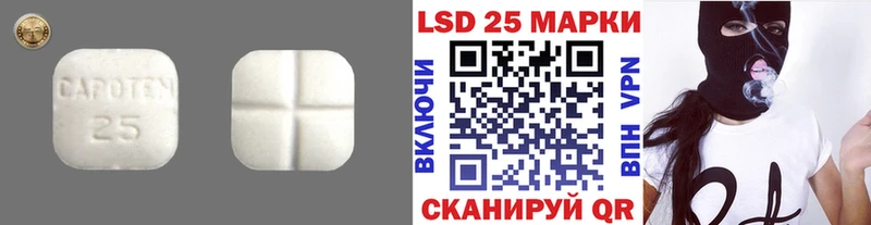 купить наркотики цена  Кингисепп  mega сайт  Лсд 25 экстази кислота 