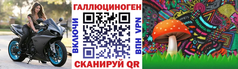 Псилоцибиновые грибы GOLDEN TEACHER  купить наркотик  Кингисепп 