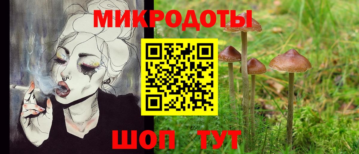 Галлюциногенные грибы ЛСД Кингисепп
