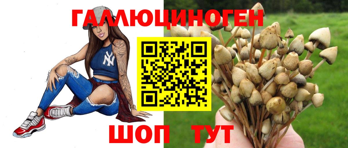 МДМА  Cocaine  Вход с VPN  Кингисепп  МЕФ   ГАШ 