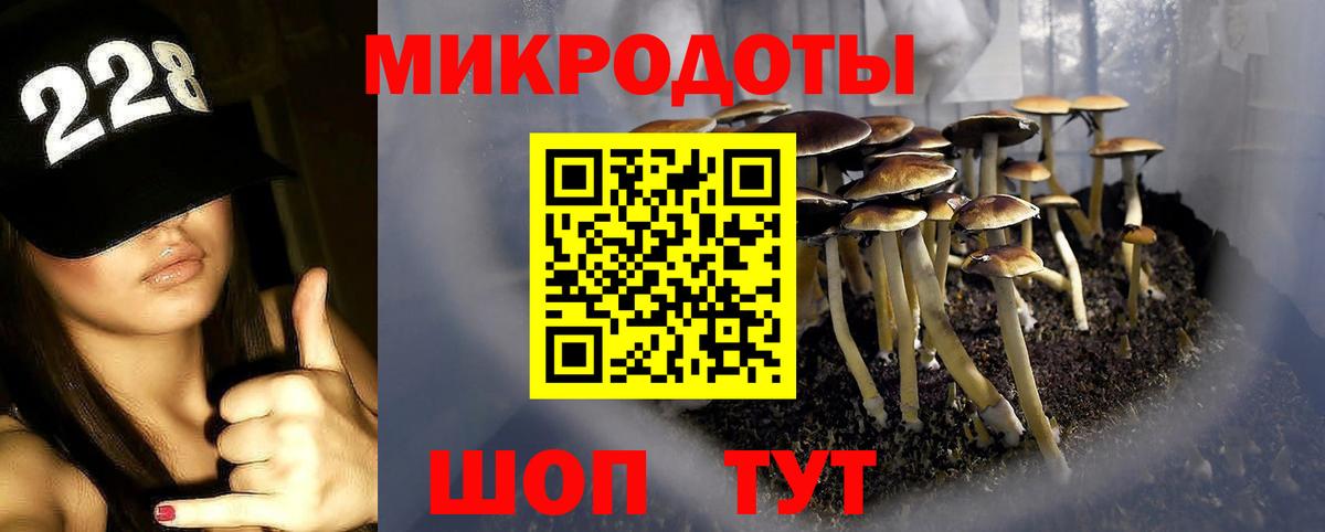 хочу   Псилоцибиновые грибы Psilocybe  Вход с VPN  Кингисепп 