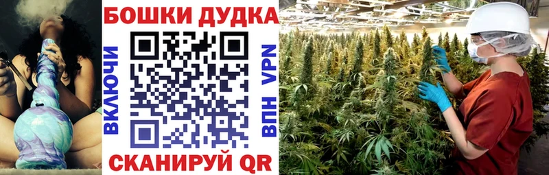 закладки  Кингисепп  Бошки Шишки тримм 